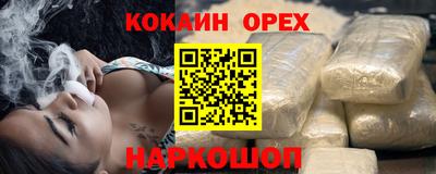 крисы Коммунар