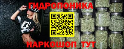 крисы Коммунар