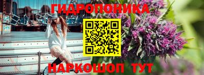 крисы Коммунар