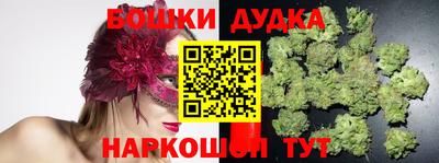 крисы Коммунар